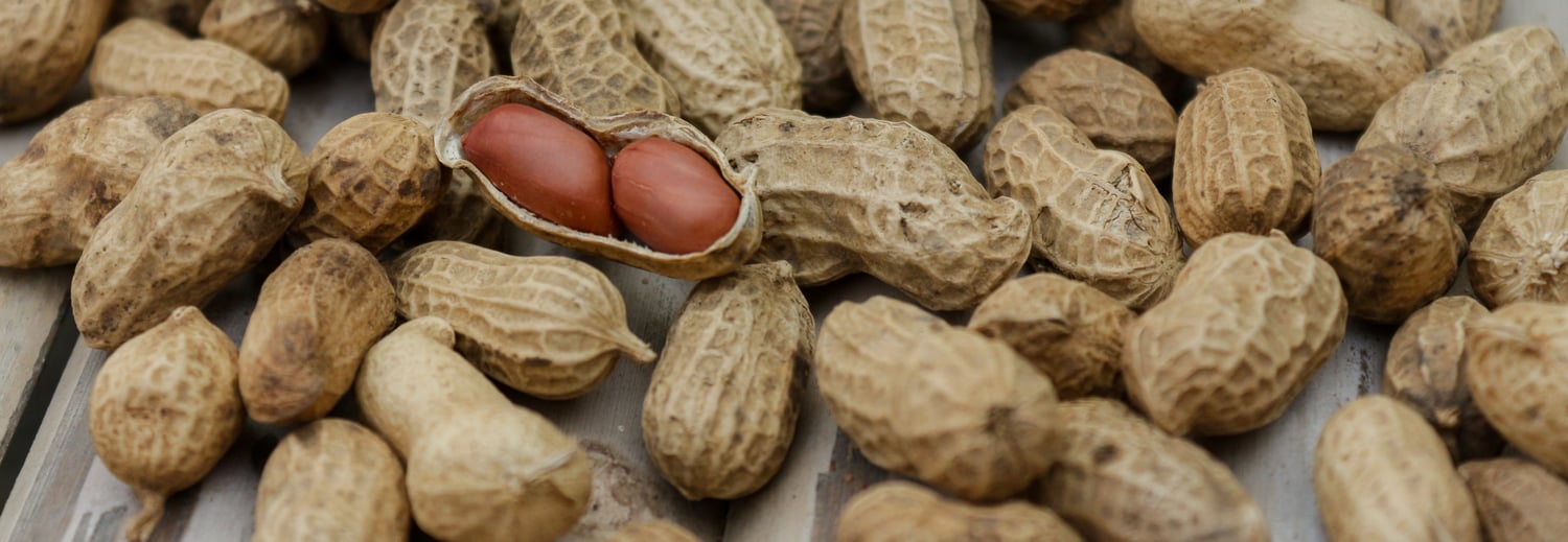 Aflatoxins in food Overview, meaning and scientific definitions